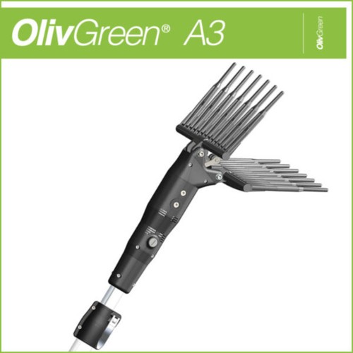 Minelli olivgreen - olivgreen, a3