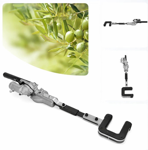 Testa raccogli olive - raccogli,