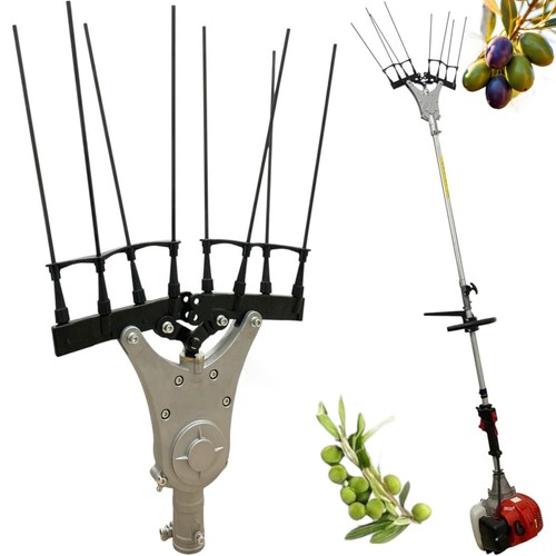 Testa abbacchiatore scuoti - testa,